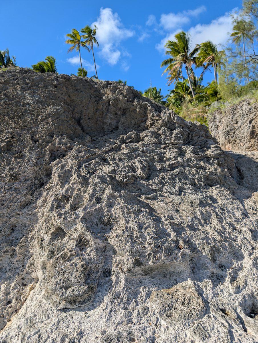 HS118 framework horizons: HS118 has framework reef and possible horizons, though the two-layer relation is less obvious than farther down the coast.