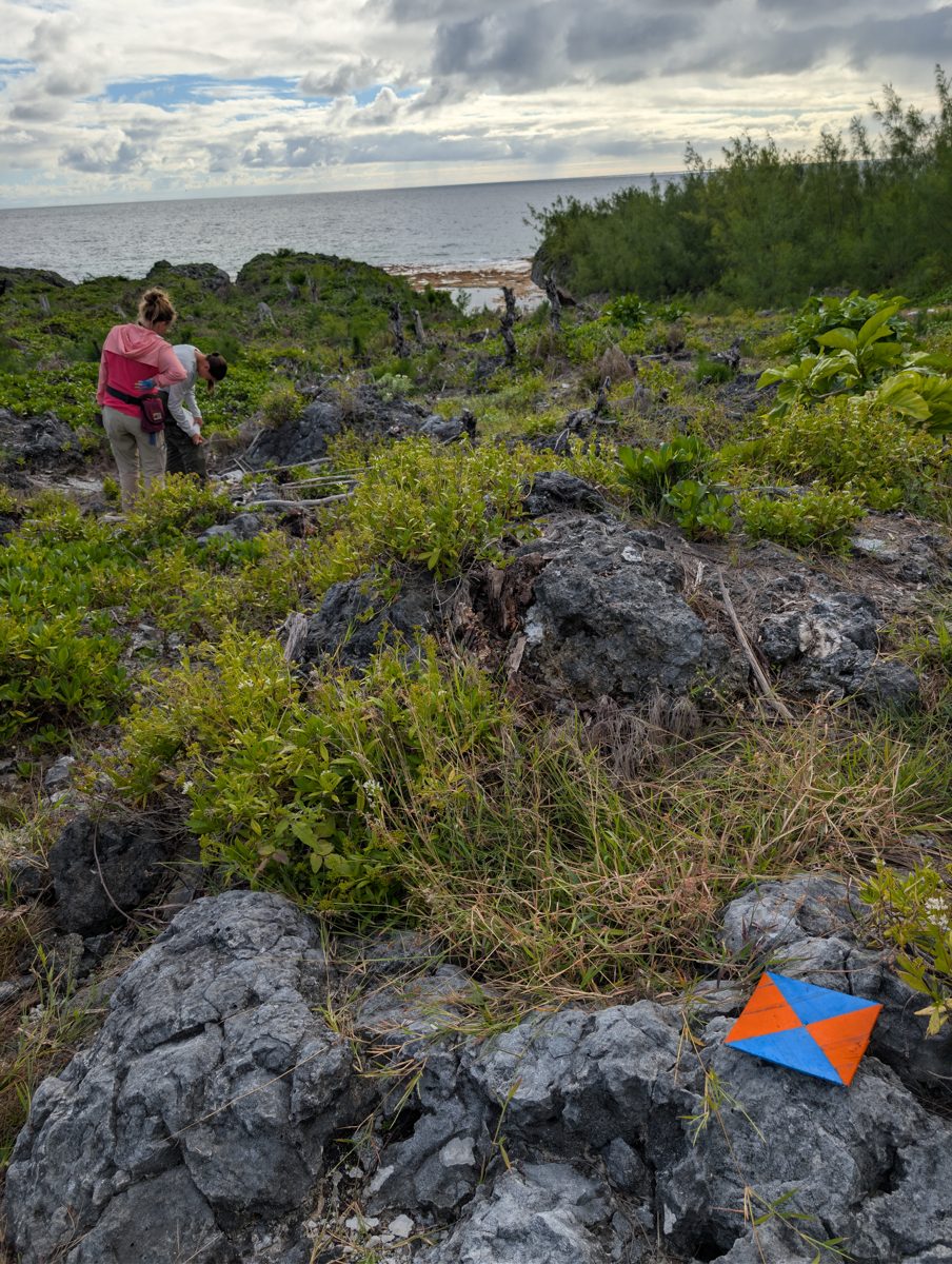 HS119 Uriaata spur and reef: HS119 at Uriaata ties to the Woodroffe and Stoddart profile framework, with an about 8 m spur and higher carbonate outcrops containing large in-situ Porites.