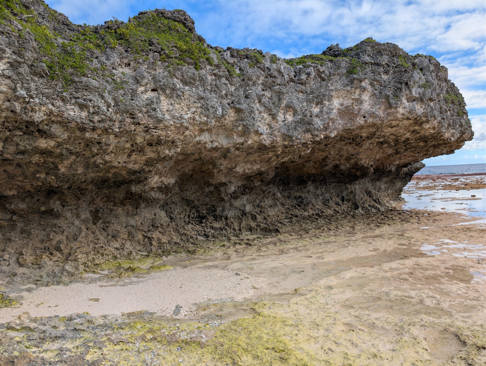 HS119 lower outcrop layering: No obvious two-layer outcrop was seen; larger Porites appeared more abundant about halfway up the cliff, with notches and weathering possibly biasing exposure.