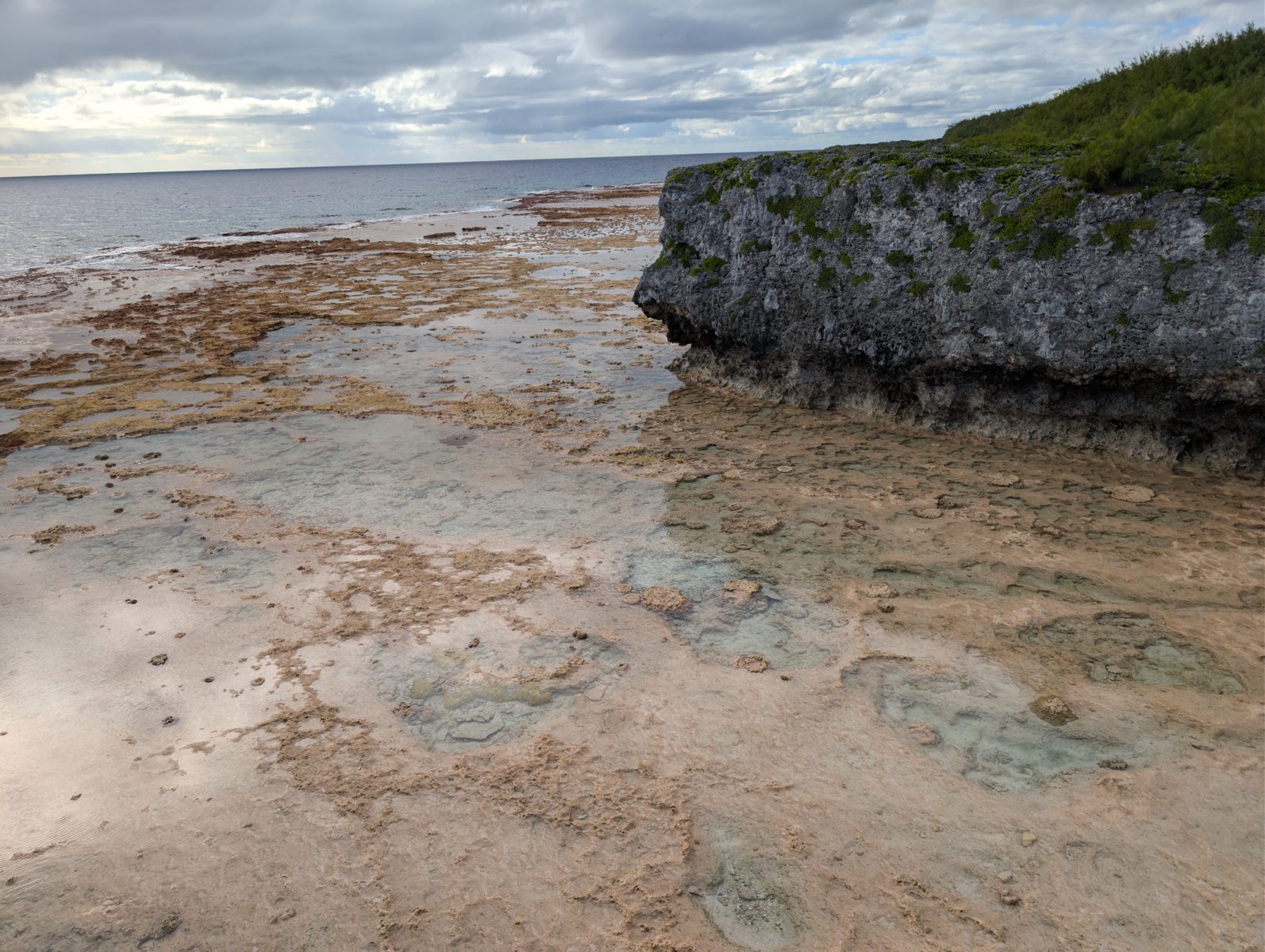 HS119 spur-top elevation question: The reef spurs behind the grooves looked nearly level with the reef flat rather than rising toward the forest, raising a topographic question for HS119.