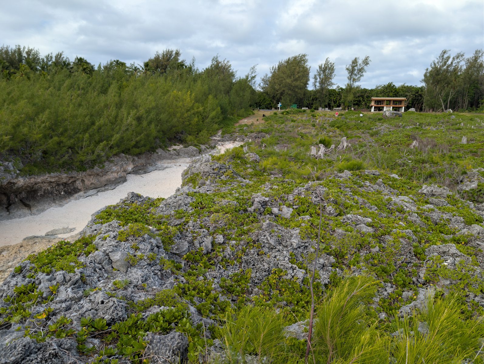HS119 spur-top elevation question: The reef spurs behind the grooves looked nearly level with the reef flat rather than rising toward the forest, raising a topographic question for HS119.