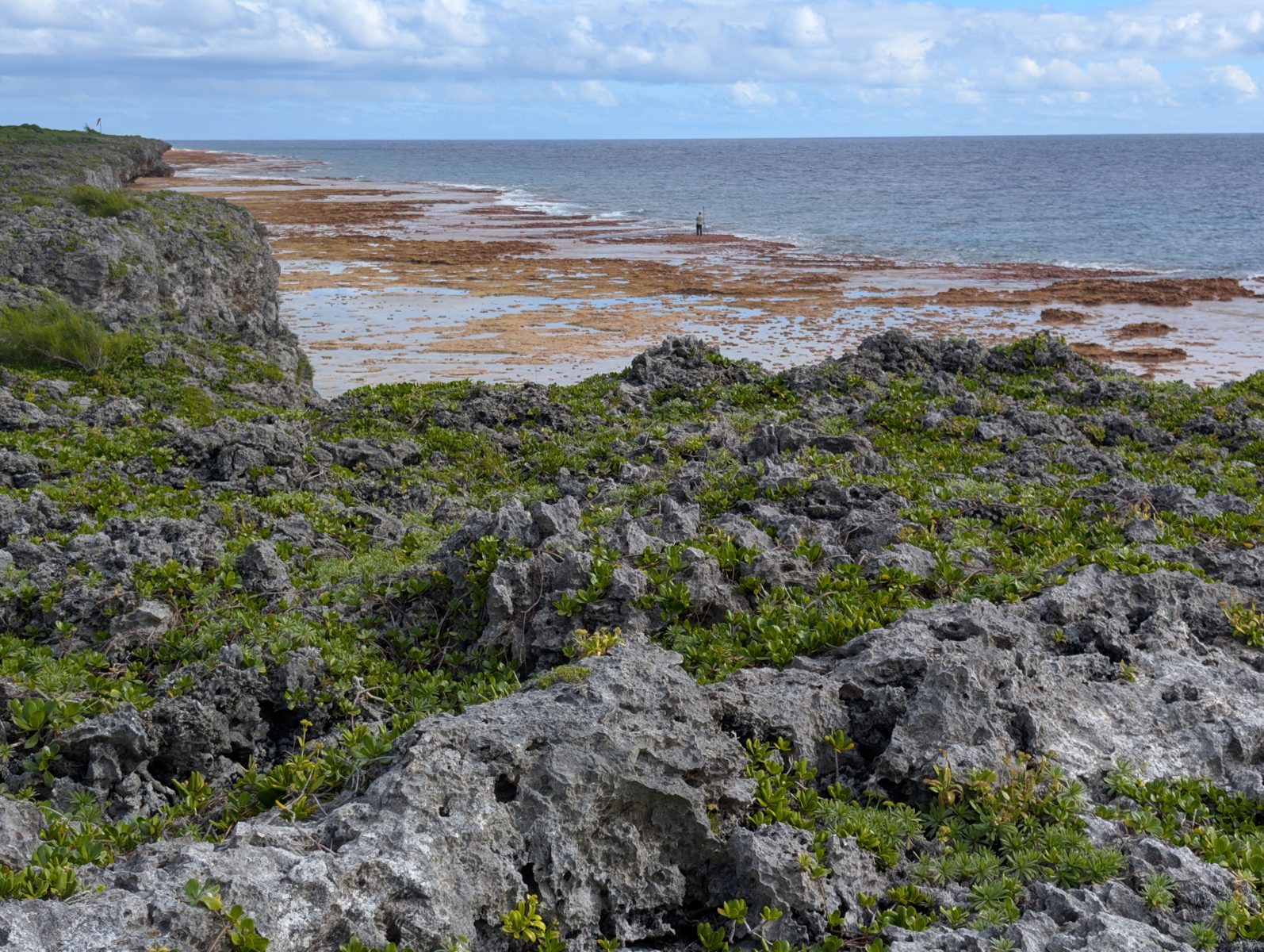 HS119 algal-flat datum: Billy measured tide-gauge elevation while standing on the algal reef flat at HS119.