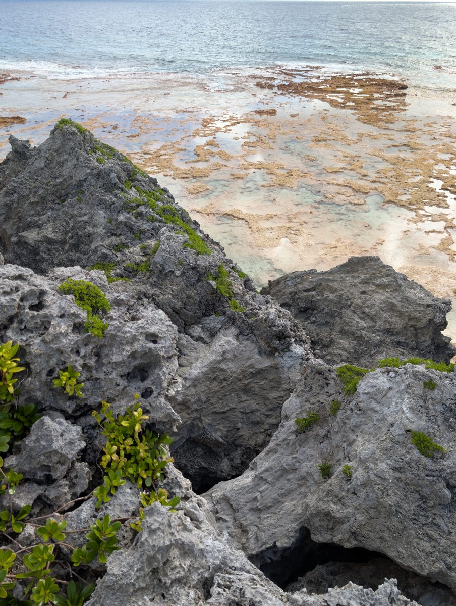 HS119 algal-flat datum: Billy measured tide-gauge elevation while standing on the algal reef flat at HS119.