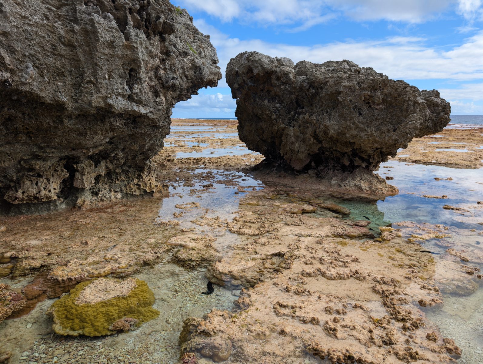 HS119 stranded boulder analogue: A boulder at the tidal-flat cliff edge is being notched after cliff retreat, offering a modern analogue for stranded reef-flat boulders.