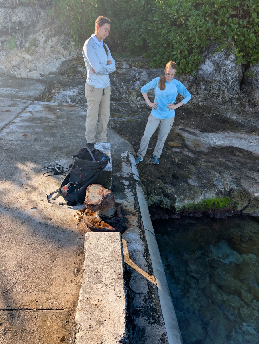 Mitiaro Harbor tide gauge: Temporary tide gauge was deployed at Mitiaro Harbor.
