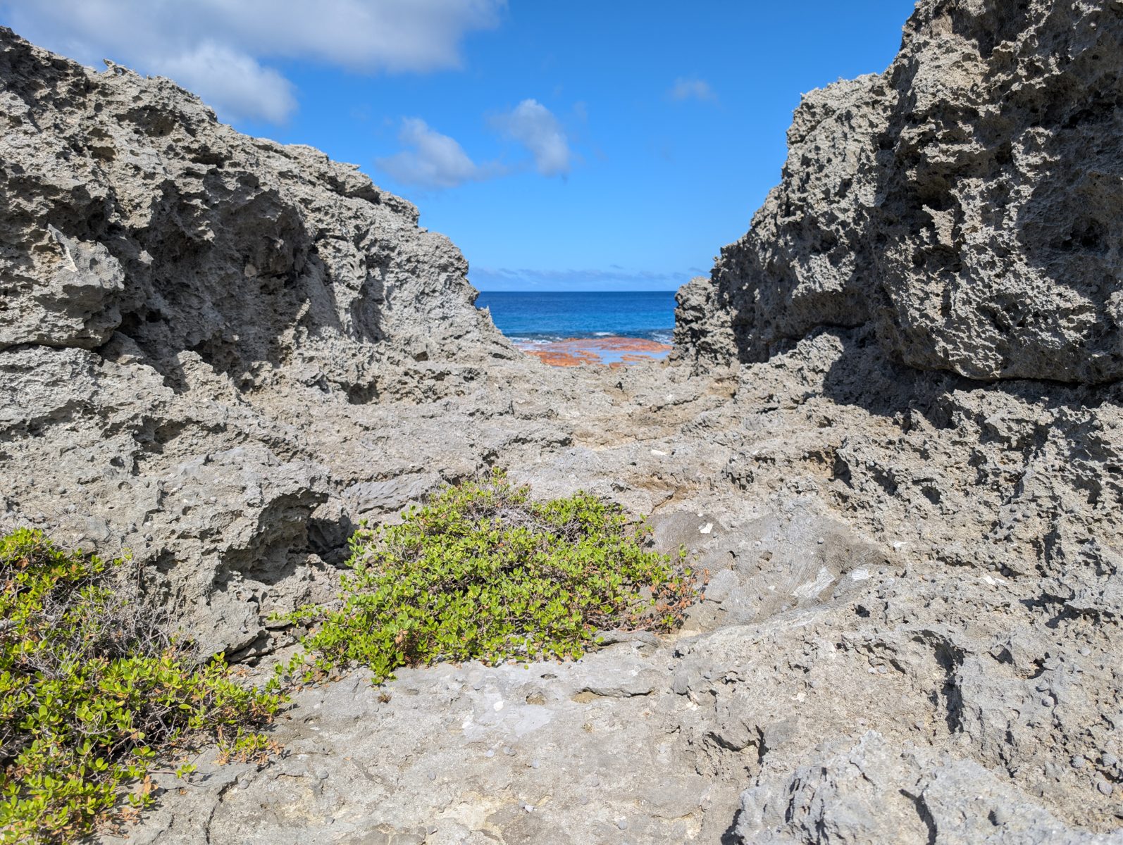 South-coast reddish outcrop: The lower south-coast Mitiaro outcrop is reddish and fades upward without a sharp top; weathering or preservation cause remains uncertain.