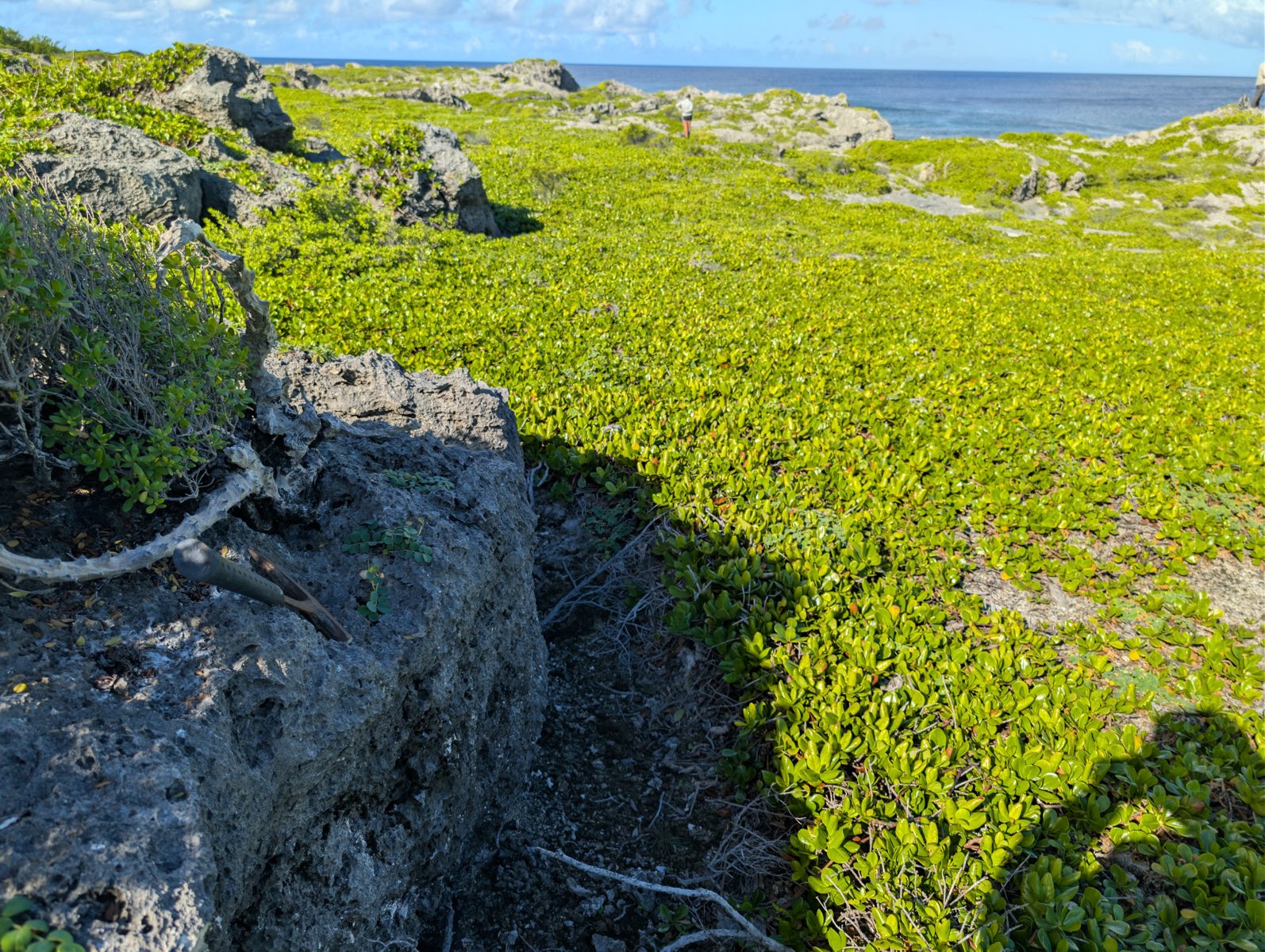 Coral-bearing boulders: Coral- and bioencruster-bearing boulders sit landward of spurs and grooves; in-place versus storm-transport origin remains unresolved.