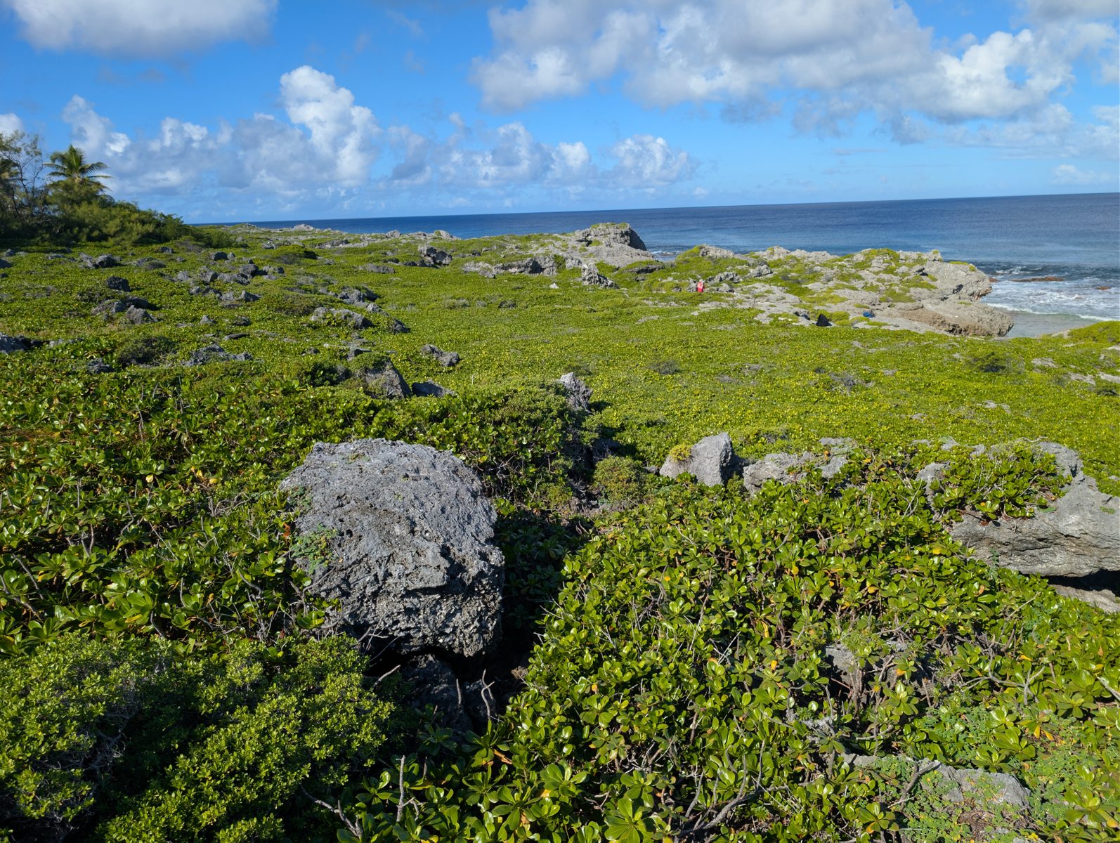 Probable storm berm: The exposed coast is likely affected by large storms, and the boulders were interpreted as probable modern storm-berm material.