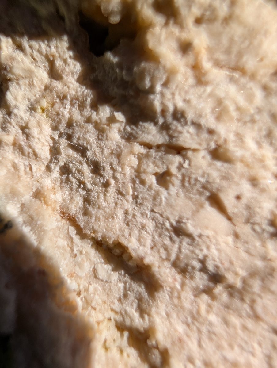 Ledge lithology photos: Photos record blocky micrite or microcrystalline calcite, small grains, and lighter platy or elongate carbonate in the ledge rock.
