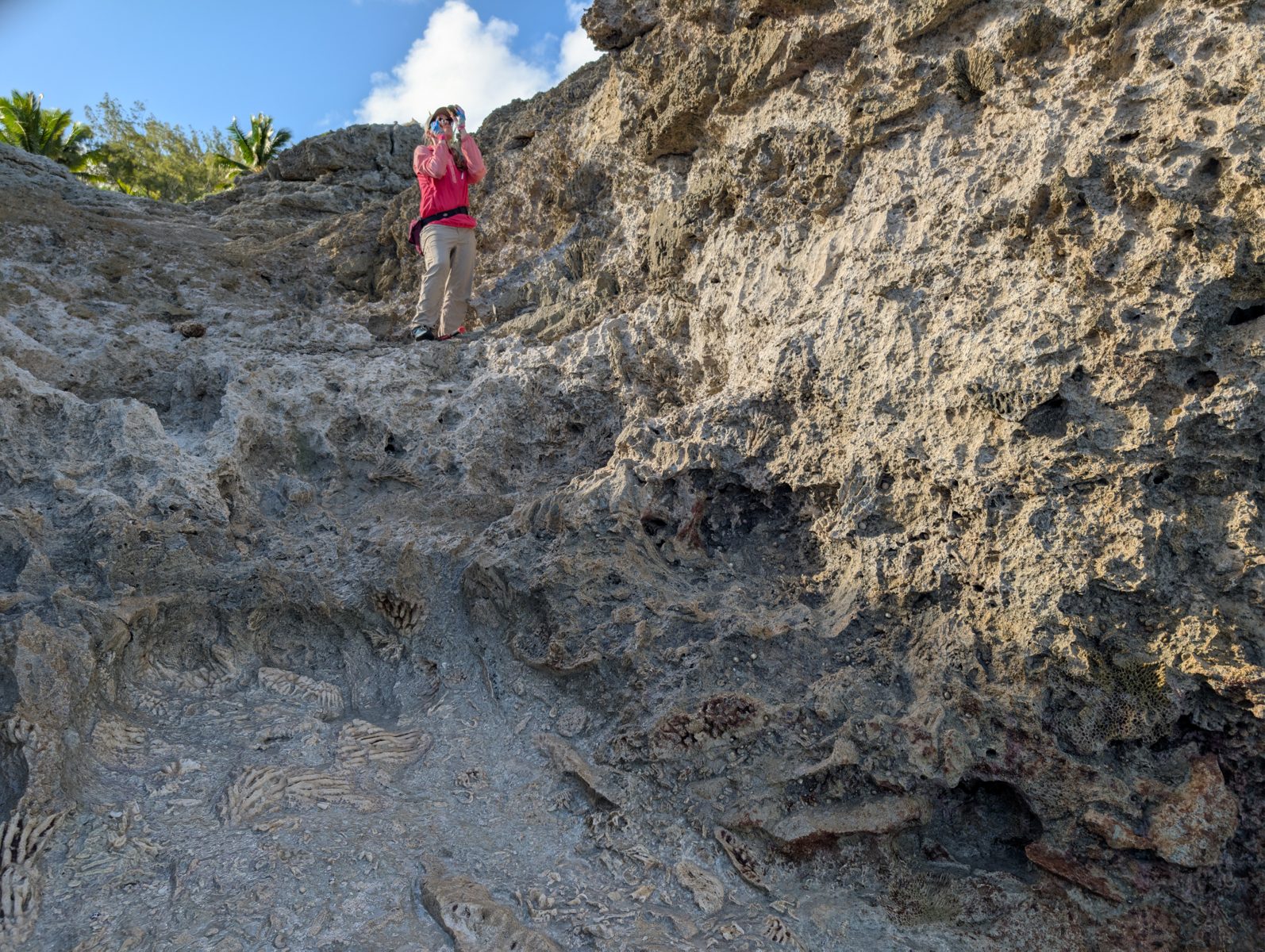 HS122 Holocene uncertainty: Near sea level, the boundary between possible Holocene material and older reef limestone was unclear, so the dateable sample remains interpretive.