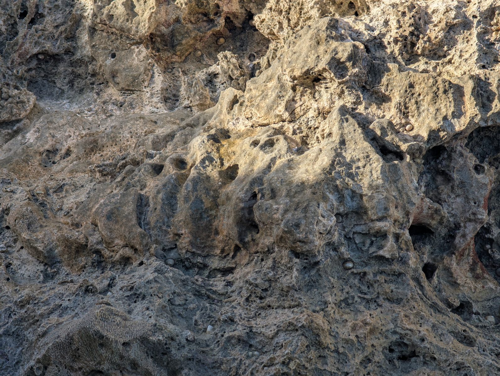HS122 Holocene uncertainty: Near sea level, the boundary between possible Holocene material and older reef limestone was unclear, so the dateable sample remains interpretive.