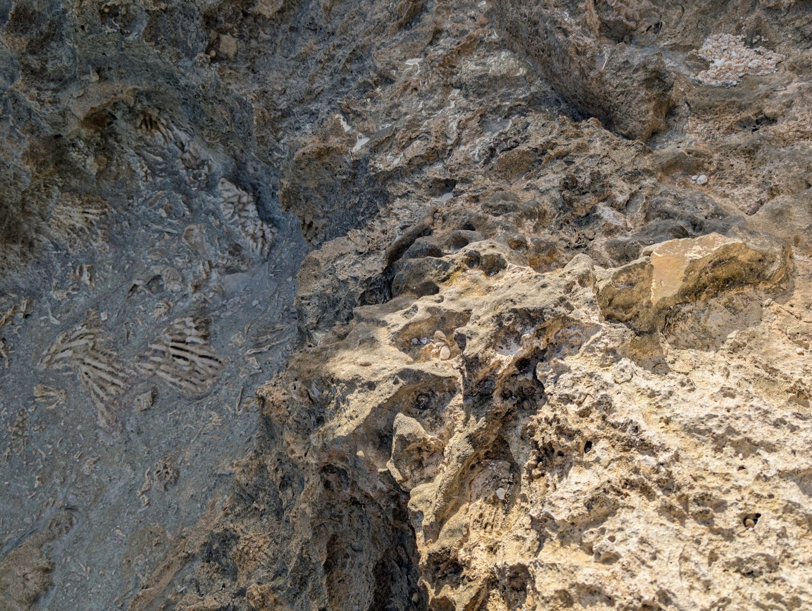 HS122 Holocene uncertainty: Near sea level, the boundary between possible Holocene material and older reef limestone was unclear, so the dateable sample remains interpretive.