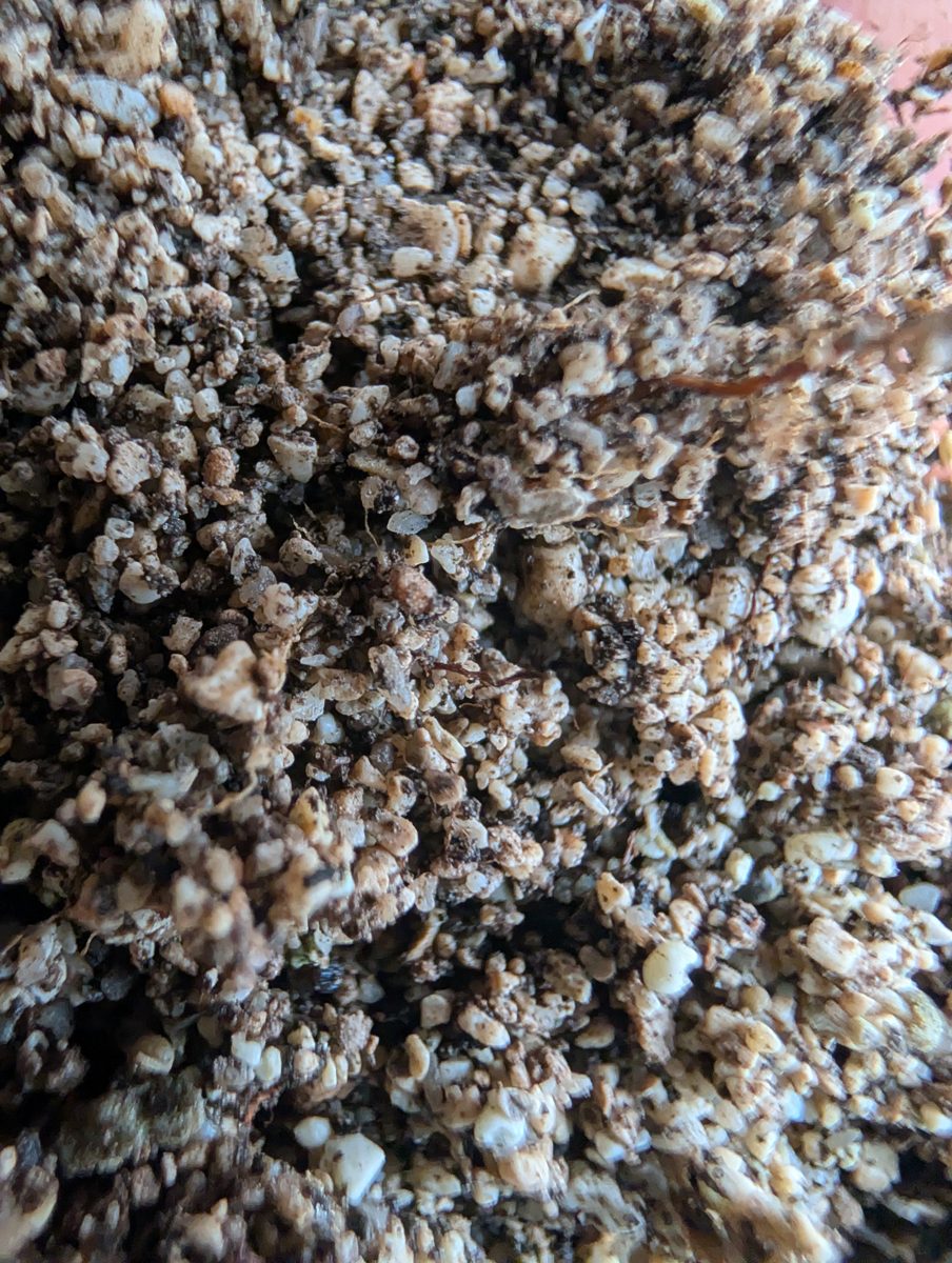 HS123 angular sand layer: An angular top sand layer resembles a perched beach or eolianite-like deposit formed during high-energy events.
