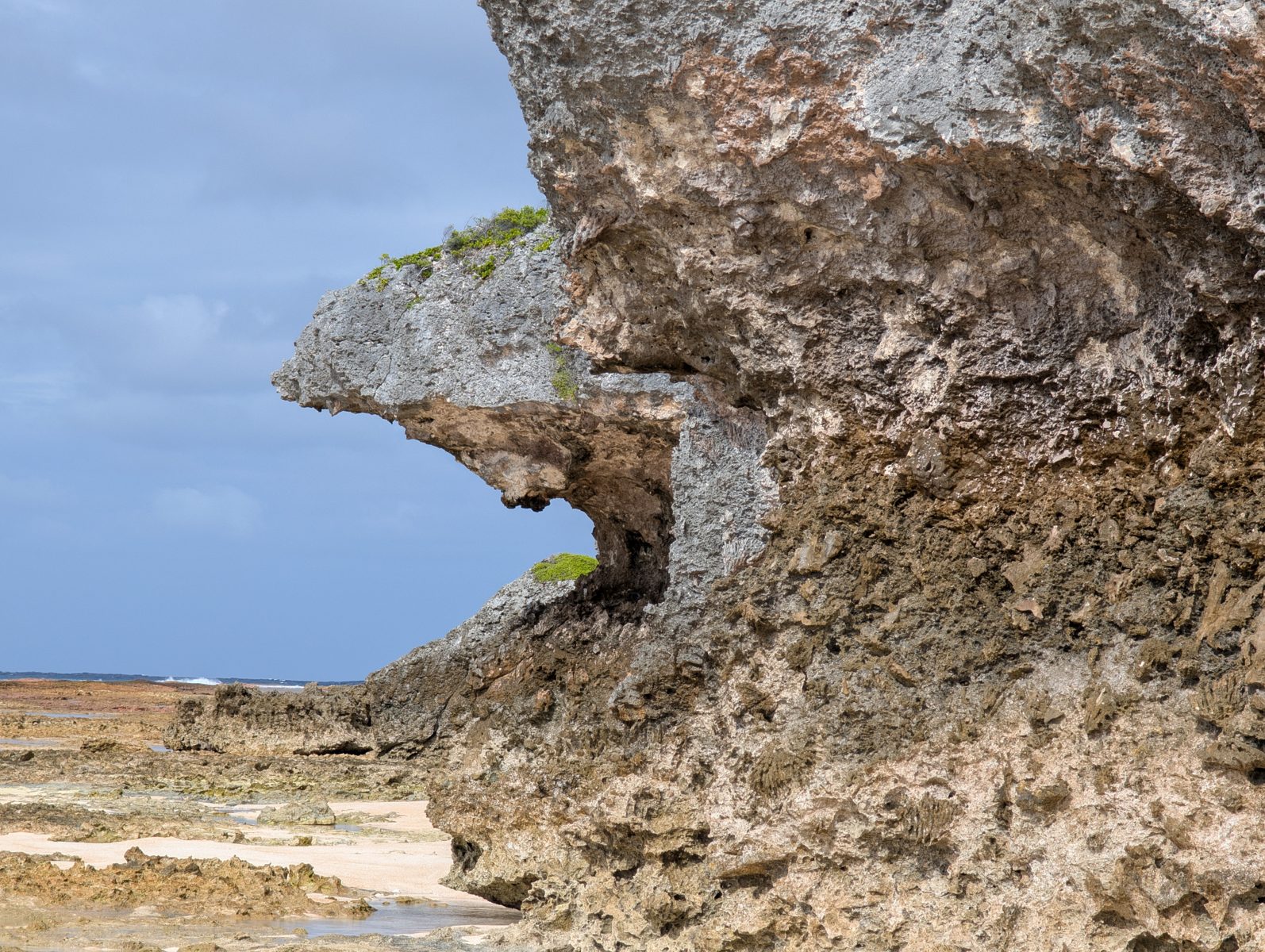 HS123 reef-path notches: The team walked the reef path while noting high notches or relief along the route.