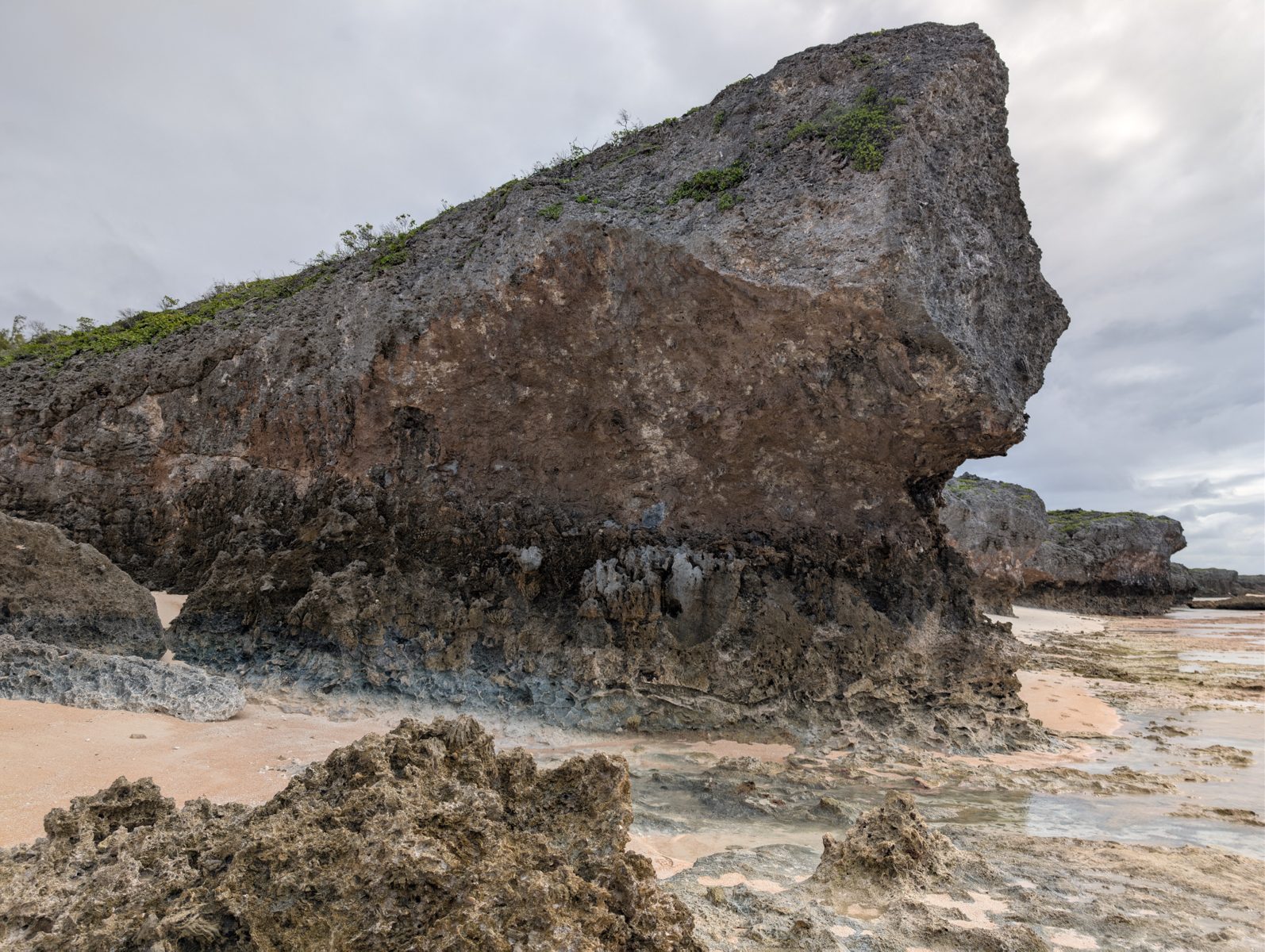 Possible Holocene notch corals: Corals occur at an elevation and context consistent with possible early Holocene notch fill.