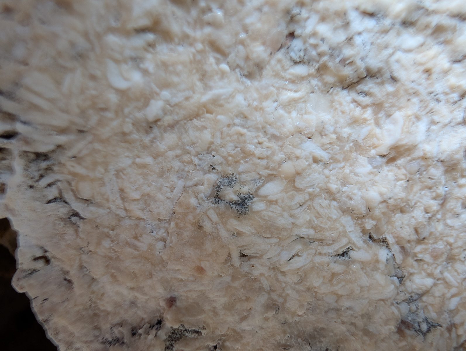 Ambiguous sand-filled notch: Sand filling the upper notch may be older wall rock or later infill; the relation is unresolved.