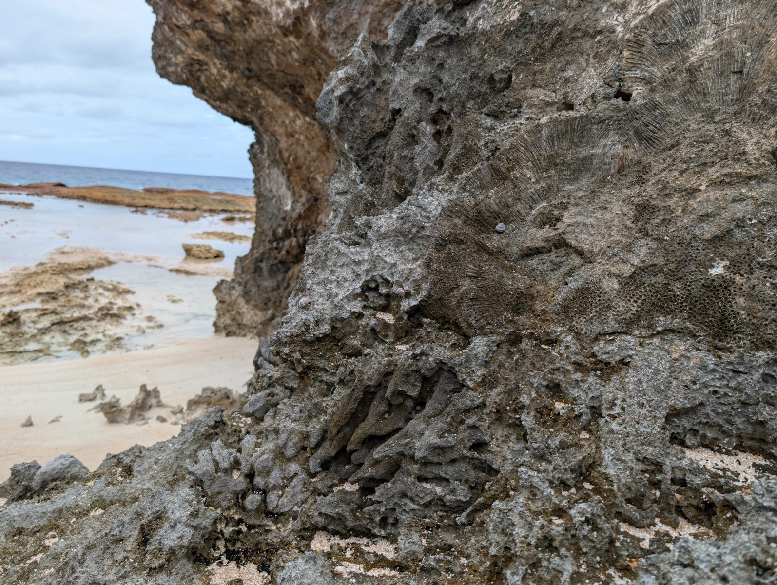 Holocene MIS 5e boundary uncertainty: The transcript explicitly notes difficulty separating Holocene material from MIS 5e wall rock near the reef flat.