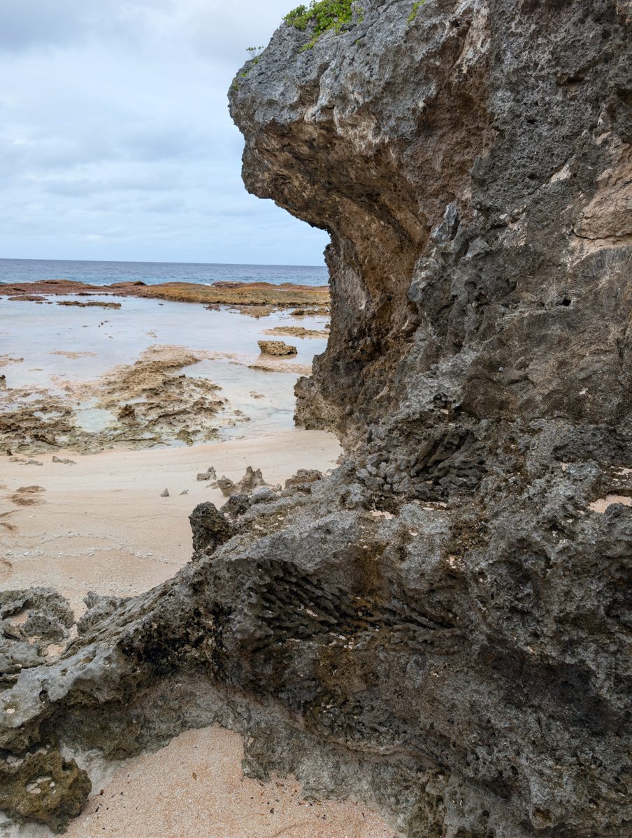 Holocene MIS 5e boundary uncertainty: The transcript explicitly notes difficulty separating Holocene material from MIS 5e wall rock near the reef flat.