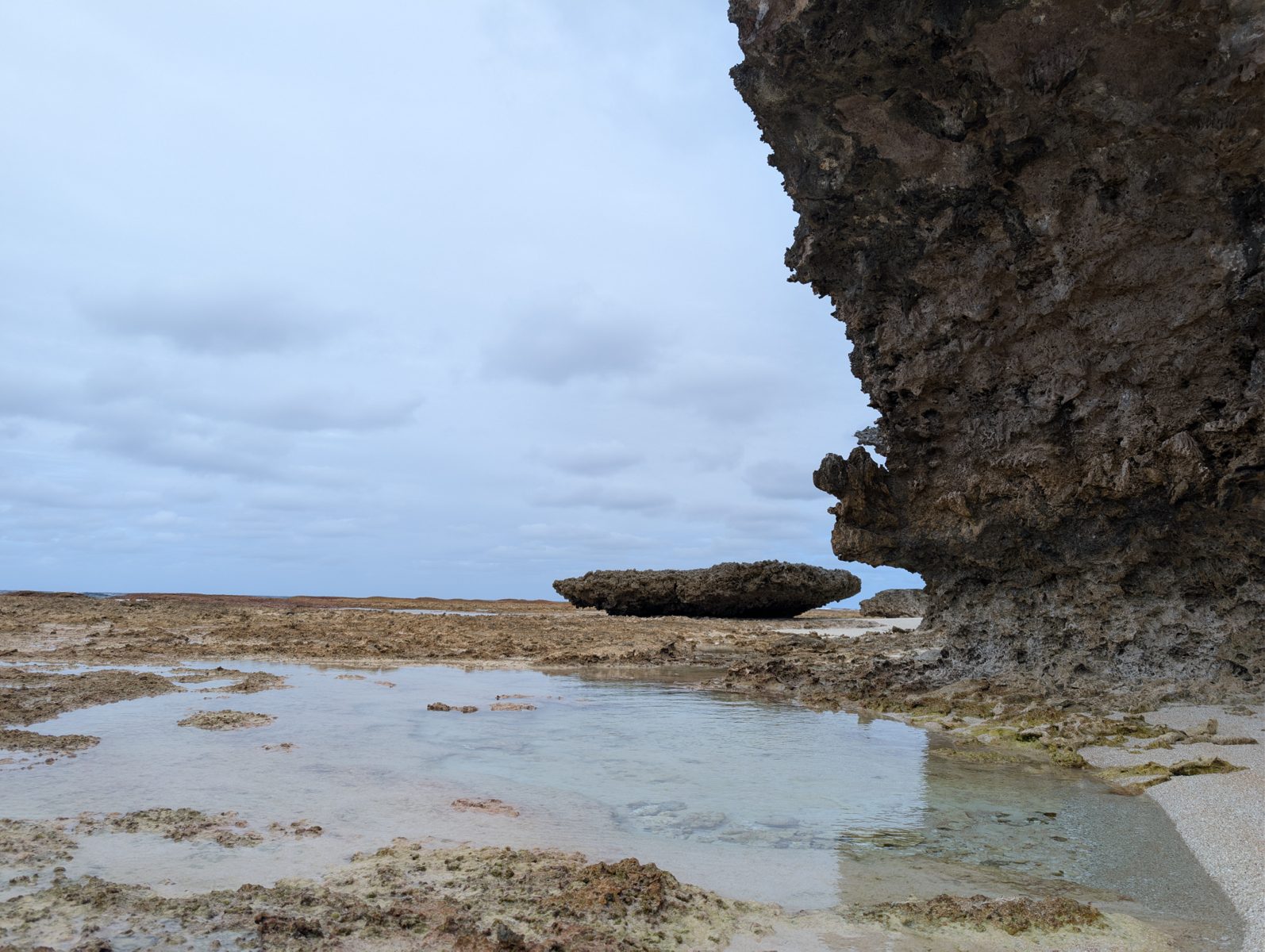 Cracks through coral colonies: Horizontal cracks pass through large coral colonies, cautioning against treating them as simple erosional surfaces.