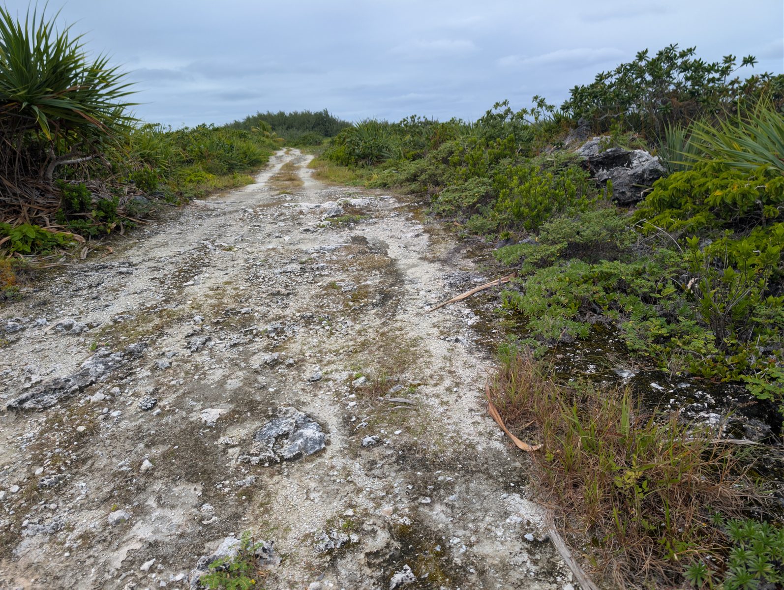 HS123 road patch-reef relief: Roadside sand and rocky highs may expose small patch reefs or bommies on a reef-flat surface; this is provisional.