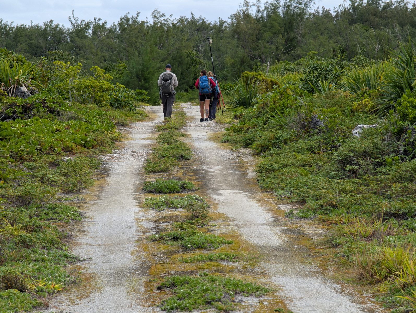 HS123 road patch-reef relief: Roadside sand and rocky highs may expose small patch reefs or bommies on a reef-flat surface; this is provisional.