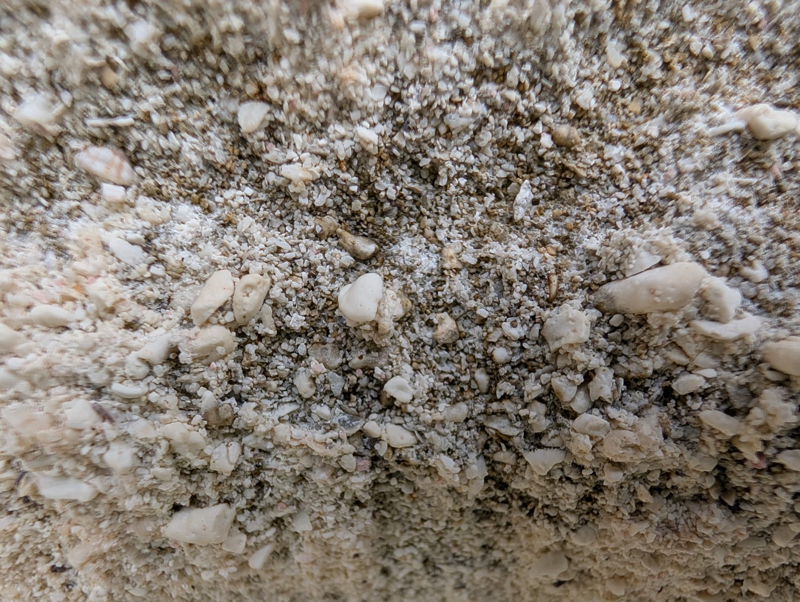Road-material cross-section: A backhoe-cleared cross-section through road or dune material was photographed.