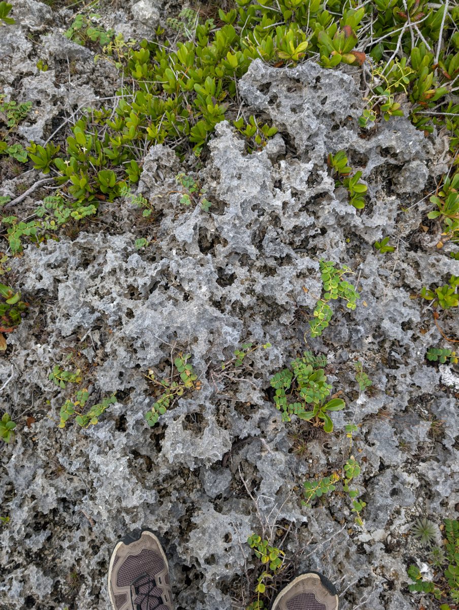 HS124 sharp weathering: HS124 rock weathering was described as sharper and more micro-rough than earlier Mitiaro stops.