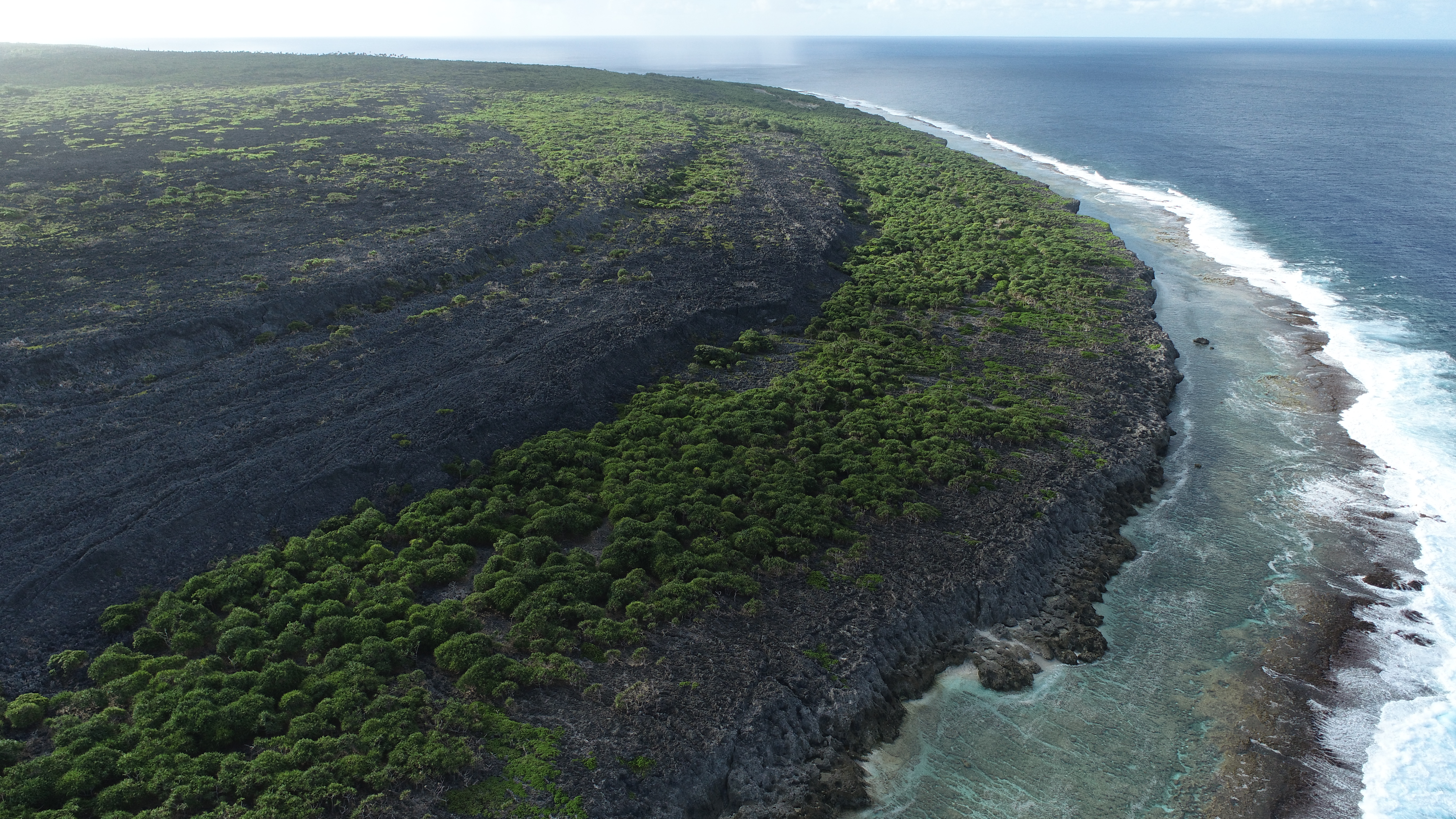 Field crew documenting reef exposures and sedimentary contacts
