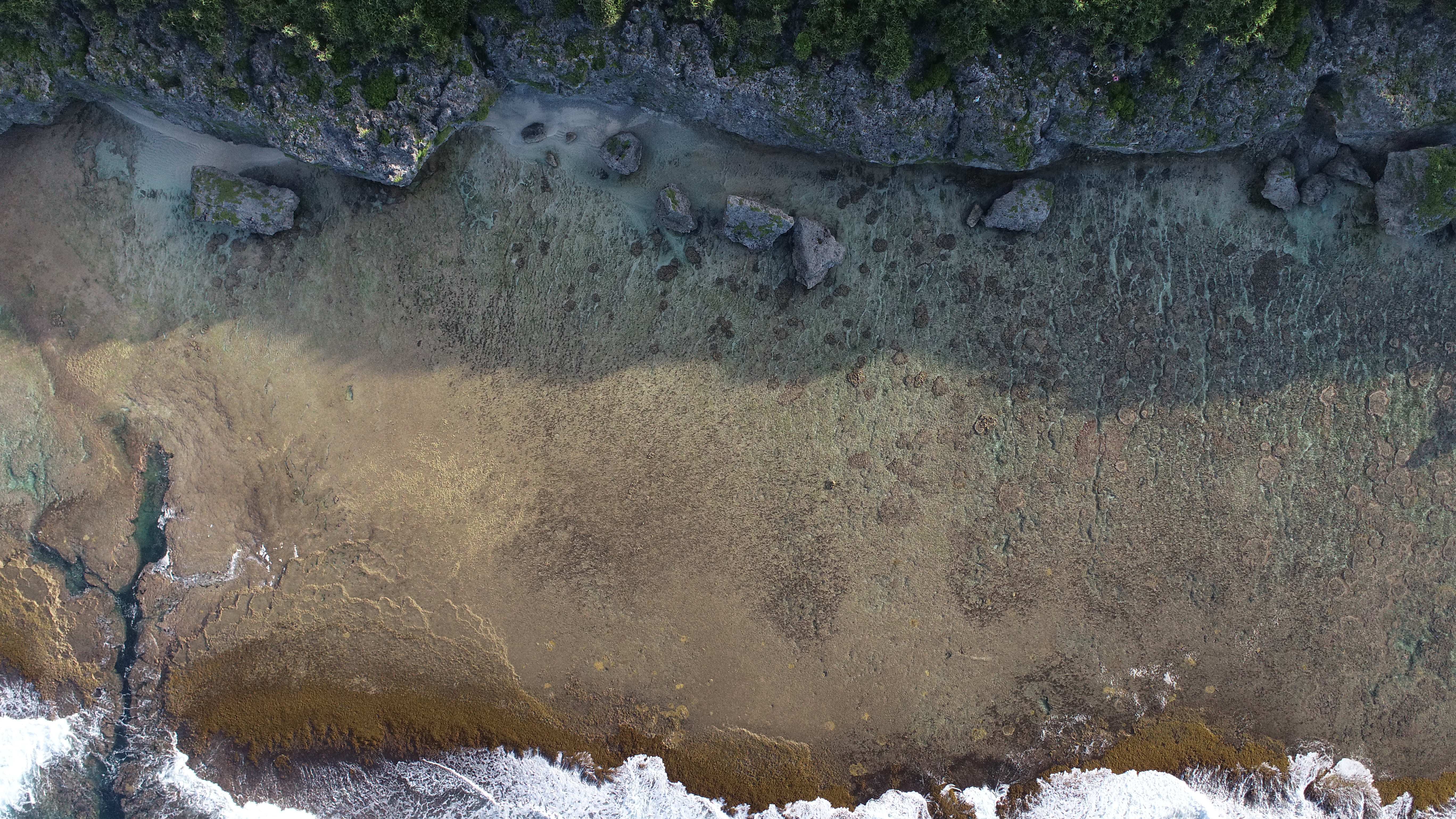 Geologic field observations across coastal terraces and vegetation